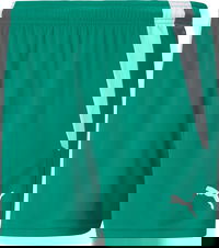 teamLIGA Shorts