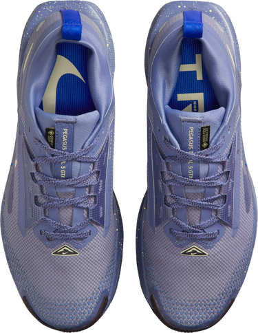 Sneakers og sko Nike Pegasus Trail 5 GORE-TEX Lilla | fq0912-402, 2