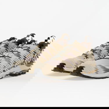 Sneakers og sko Salomon XA PRO 3D Beige | L47884800, 5