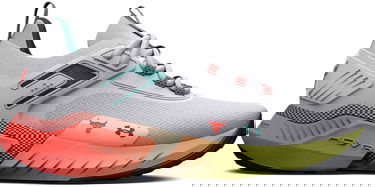 Sneakers og sko Under Armour Fitness UA GS Project Rock 5-WHT Grå | 3025437-100, 1