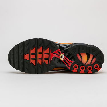 Sneakers og sko Nike Air Max Plus Flerfarvet | DA1514-001, 4