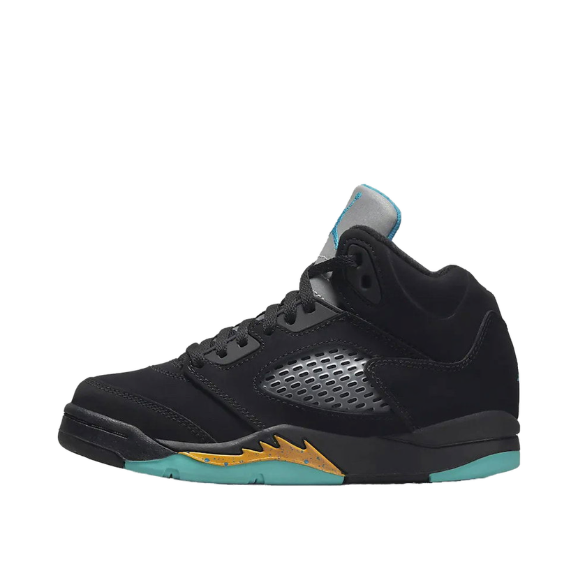 Sneakers og sko Jordan Jordan 5 Retro Turkis | 440889-047