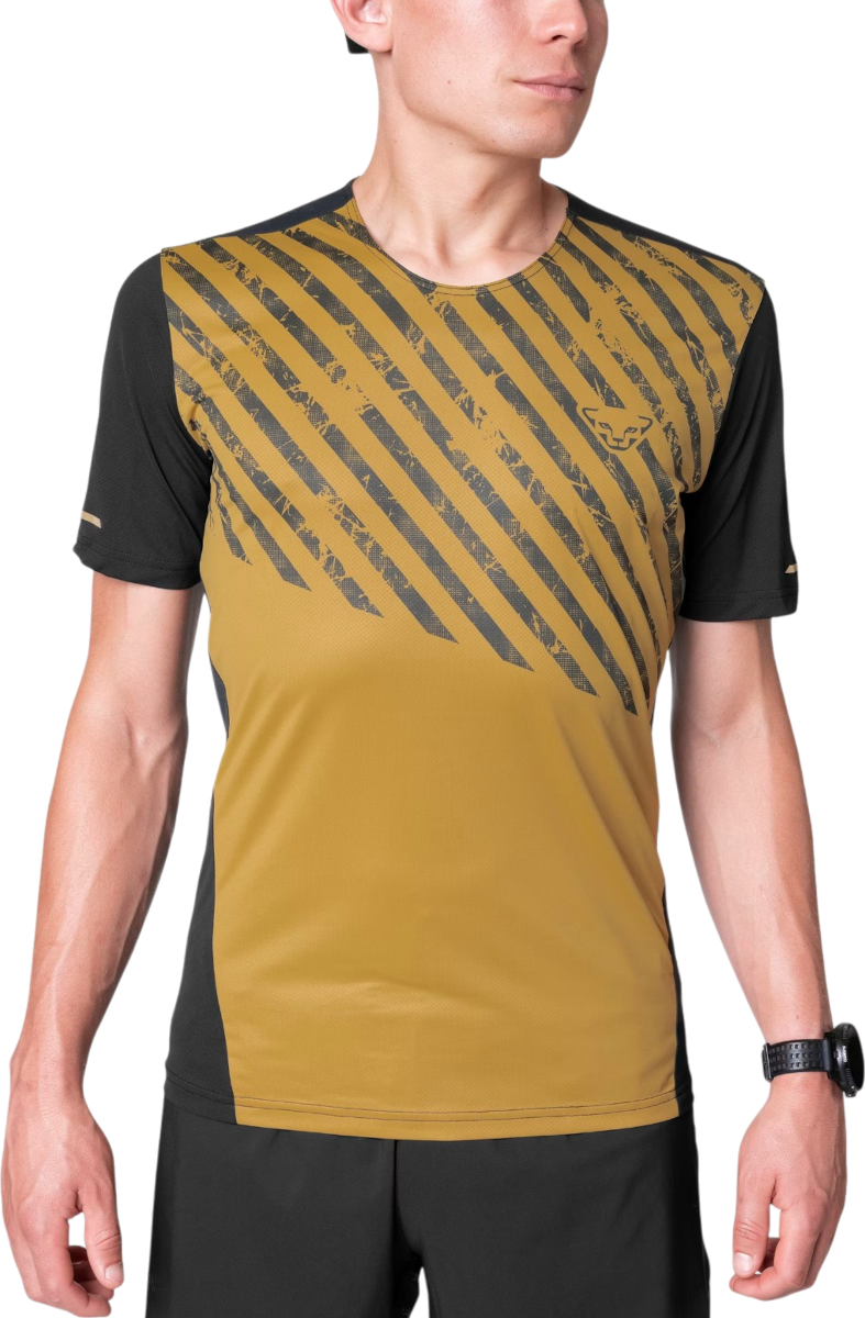 T-shirt Dynafit Dynafit Alpine 2 Short Sleeve Tee Gul | 08-0000071456-7401