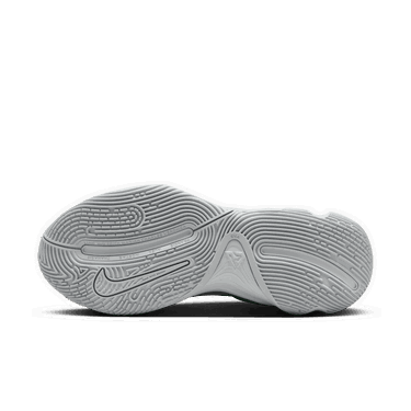 Sneakers og sko Nike Giannis Immortality 4 Grå | FQ3680-002, 1