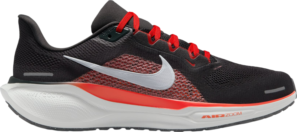 Sneakers og sko Nike Pegasus 41 Rød | fd2722-008, 0
