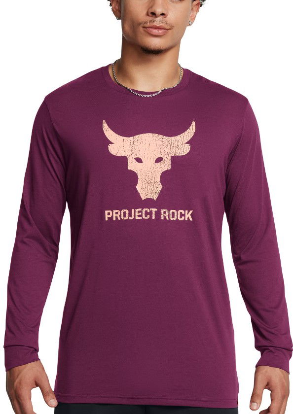 T-shirt Under Armour Long Sleeve T-Shirt Bull Lilla | 1374847-505