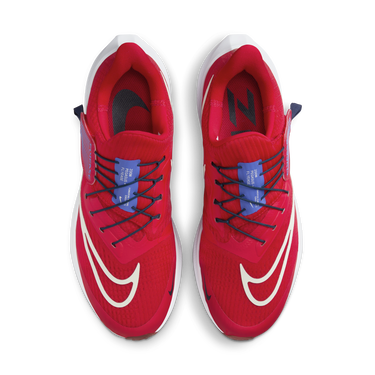 Sneakers og sko Nike Pegasus FlyEase Rød | DJ7381-601, 2