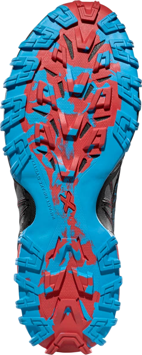 Sneakers og sko La Sportiva Bushido III Gtx Sort | 4019614-56y, 1