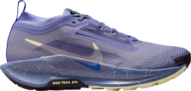 Sneakers og sko Nike Pegasus Trail 5 GORE-TEX Lilla | fq0912-402, 0