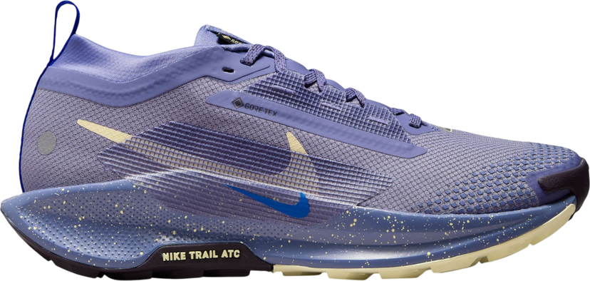Sneakers og sko Nike Pegasus Trail 5 GORE-TEX Lilla | fq0912-402