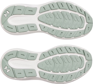 Sneakers og sko Under Armour Charged Rogue 5 Grå | 3028262-377, 2