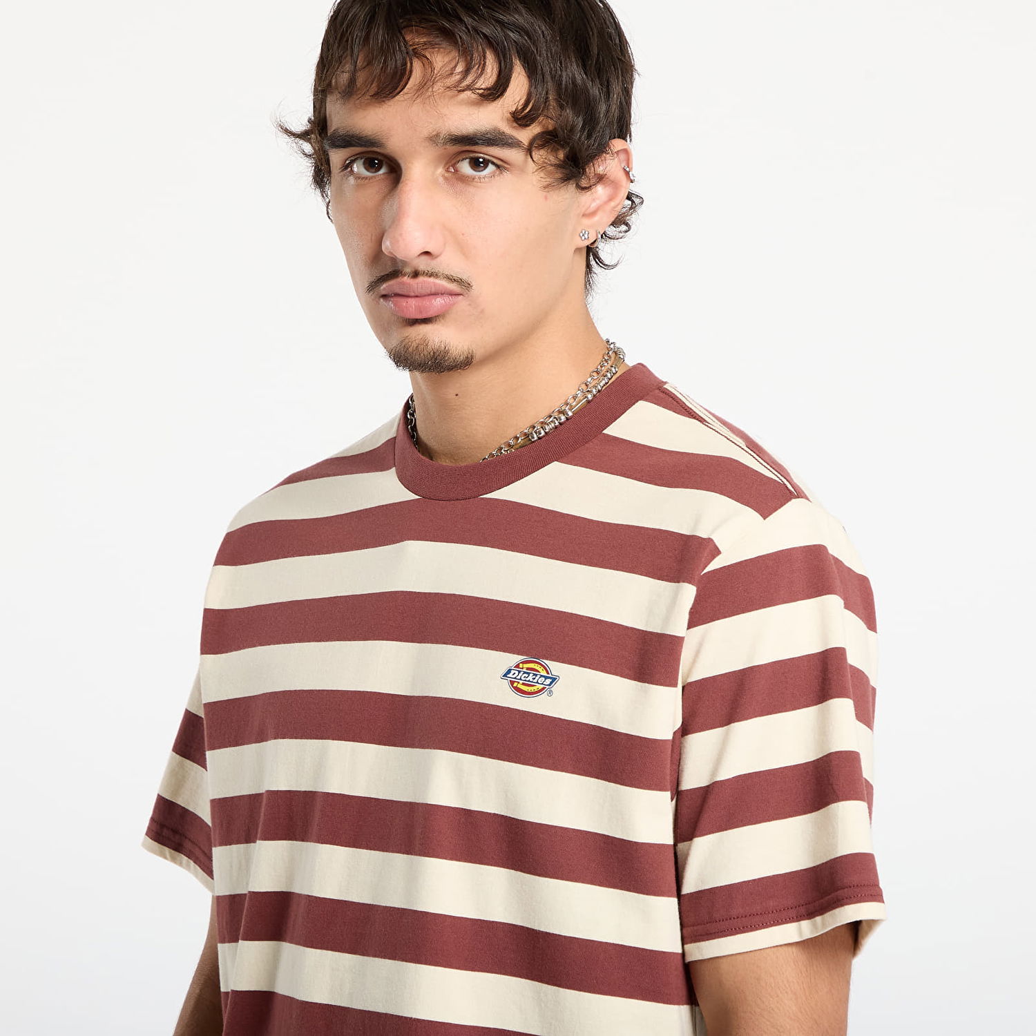 T-shirt Dickies T-shirt Striped Rivergrove Ss Tee Flerfarvet | DK0A4Y8YL161, 1