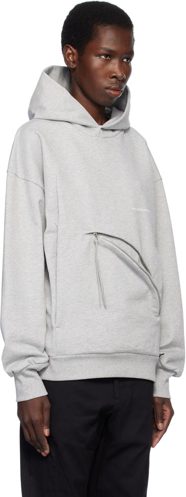 Sweatshirt Post Archive Faction (PAF) Post Archive Faction (PAF) 8.0 Center Hoodie Grå | 8.0 THC-G, 4