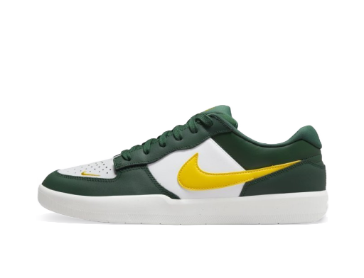 Skateboarding Nike SB Force 58 Grøn | DH7505-300