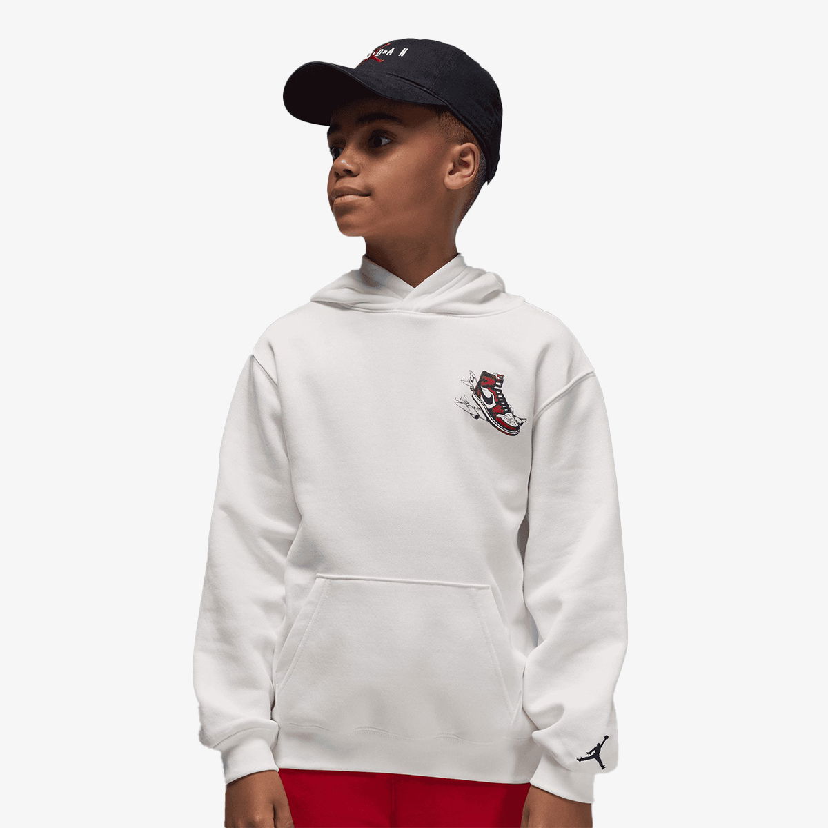 Sweatshirt Jordan Jordan Landed Hoodie Hvid | 95F281-782, 0