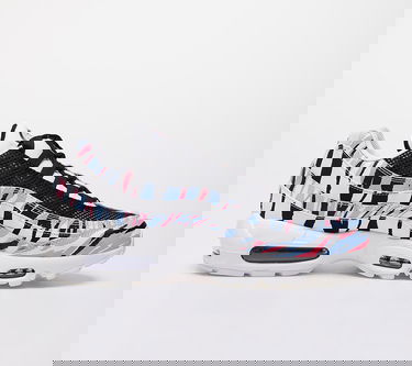 Sneakers og sko Nike Air Max 95 Country - Korea Flerfarvet | CW2359-100, 1
