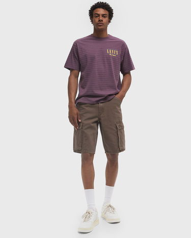 Shorts Levi's Baggy Cargo Shorts Brun | 001GU-0003, 2