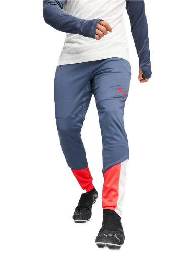 Bukser og jeans Puma IndividualCUP Blå | 658487_53