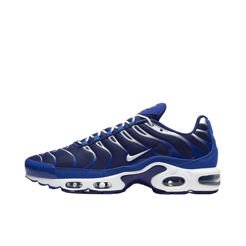 Sneakers og sko Nike Air Max Plus Arctic Chill Mørkeblå | CW7024-400