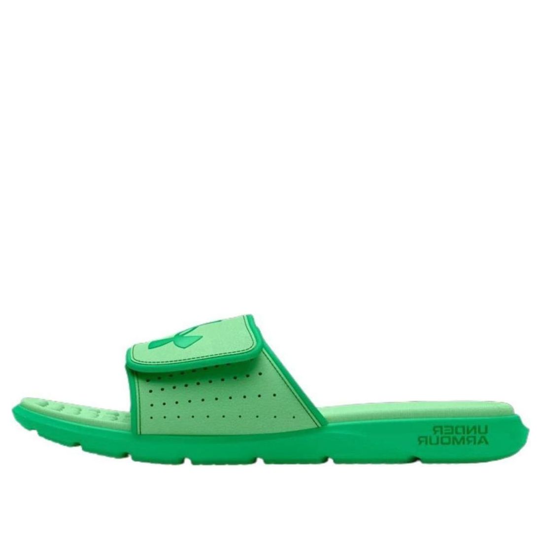 Sneakers og sko Under Armour Ignite Pro Slides Grøn | 3026023-303, 0