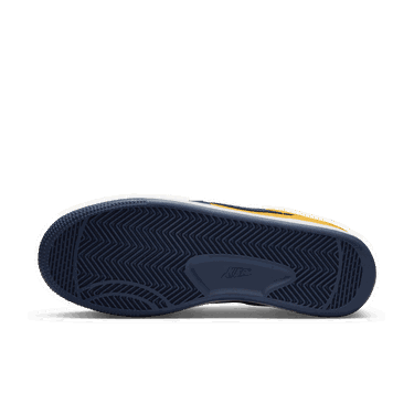 Sneakers og sko Nike Terminator Low "Michigan" Gul | FJ4206-700, 4