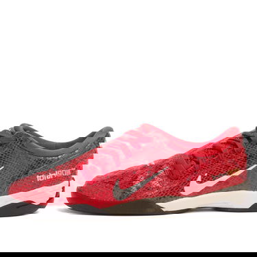 Sneakers og sko Nike T90 SE Rød | IB4204-600, 1