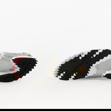 Sneakers og sko Reebok Instapump Fury 94 Grå | GY8819, 4