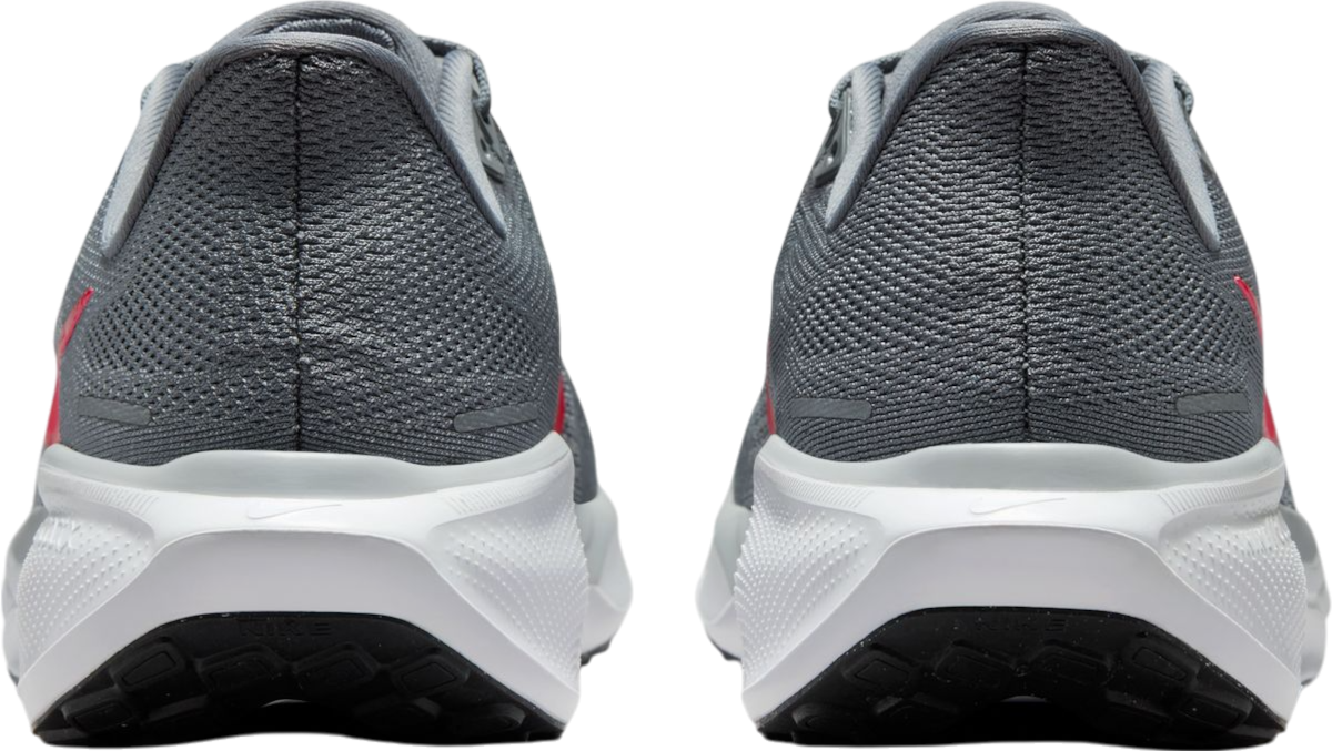Sneakers og sko Nike Pegasus 41 Grå | fd2722-013, 1