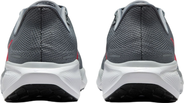 Sneakers og sko Nike Pegasus 41 Grå | fd2722-013, 1