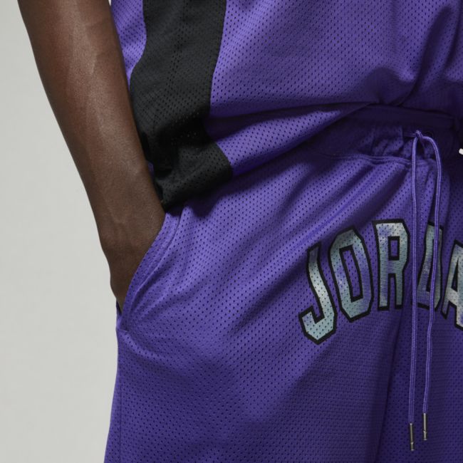 Shorts Jordan Sport DNA Mesh Shorts Lilla | DM1414-579, 1