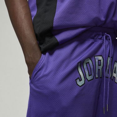 Shorts Jordan Sport DNA Mesh Shorts Lilla | DM1414-579, 1