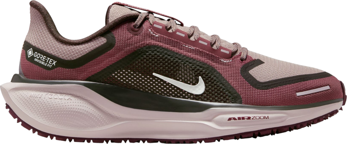 Sneakers og sko Nike Pegasus 41 GORE-TEX Bourgogne | fq1357-200, 0