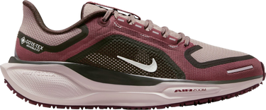 Sneakers og sko Nike Pegasus 41 GORE-TEX Bourgogne | fq1357-200, 0