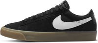 Zoom Blazer Low Pro GT