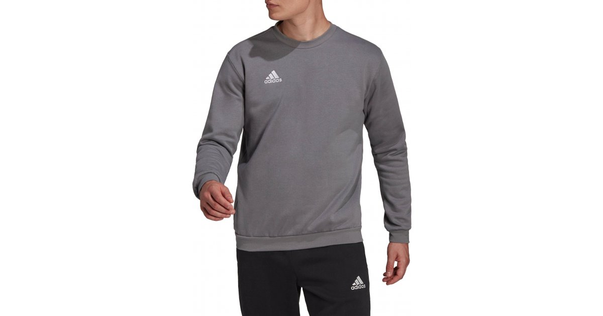 Sweatshirt adidas Originals Sweatshirt Entrada 22 Grå | h57479, 1