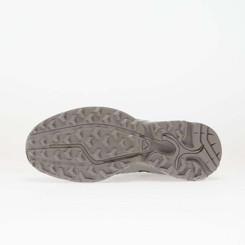 Sneakers og sko Salomon XT-Whisper Grå | L47875600