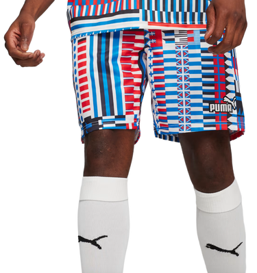 Shorts Puma FanwearCapsule Short Flerfarvet | 658967-14, 1