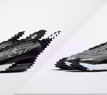 Sneakers og sko Nike W Air Max 2090 Sort | CK2612-002, 4