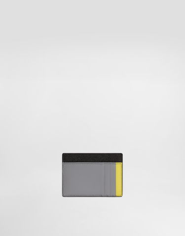 Tegnebog Dolce & Gabbana Dolce & Gabbana Dauphine Card Holder Flerfarvet | BP3325A6N728N971, 2