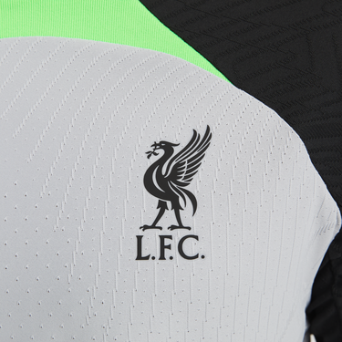 T-shirt Nike Liverpool F.C. Strike Elite Men's Dri-FIT ADV Knit Football Top Grå | dx2891-013, 3