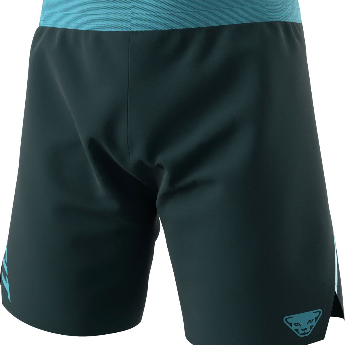Shorts Dynafit ALPINE SHORTS Running Shorts Grøn | 08-0000071645-3011, 0