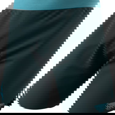 Shorts Dynafit ALPINE SHORTS Running Shorts Grøn | 08-0000071645-3011, 0