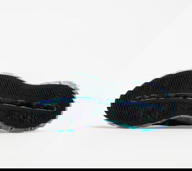 Sneakers og sko Reebok Zig Kinetica Sort | FW5286, 5
