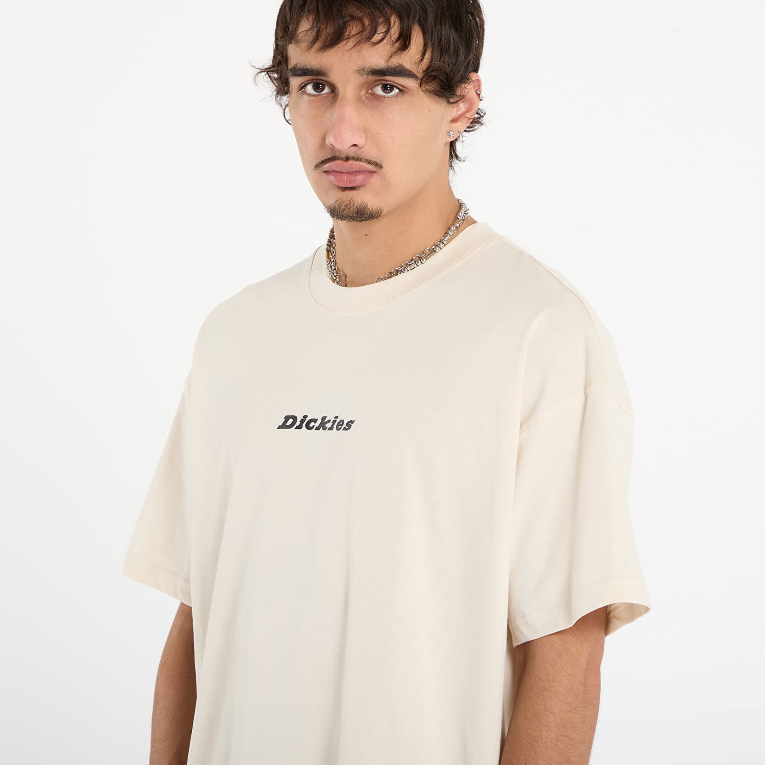 T-shirt Dickies T-shirt Enterprise Tee Ss Beige | DK0A4YRNF901, 1