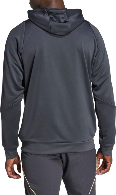 Sweatshirt adidas Originals Olympique Lyonnais TR Hoody Grå | jl9490, 2