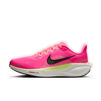 Pegasus 41