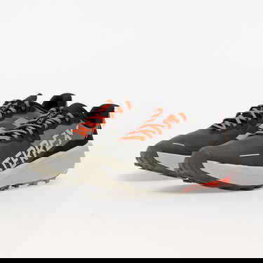 Sneakers og sko adidas Performance Terrex Agravic 3 Grøn | IG8840, 4