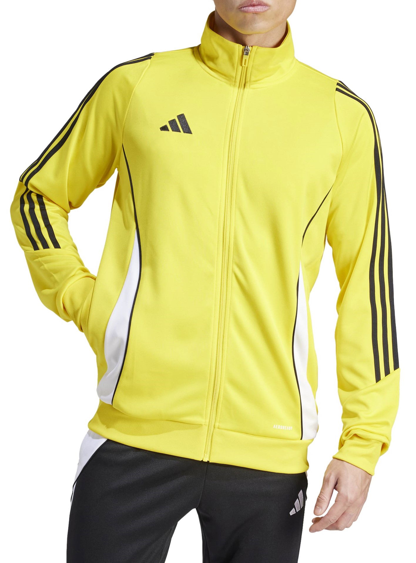 Jakke adidas Originals adidas TIRO24 TRJKT Gul | ir9493, 0