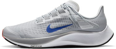 Sneakers og sko Nike Air Zoom Pegasus 37 Flyease Grå | ck8474-004, 0