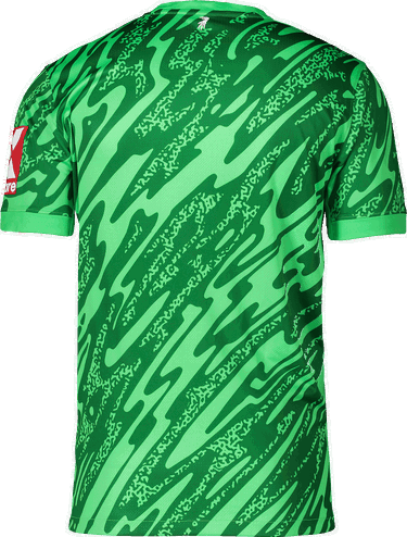 Jersey Nike Nike SC Freiburg Goalkeeper Jersey 2025/26 Grøn | 6scffd7482-329, 1